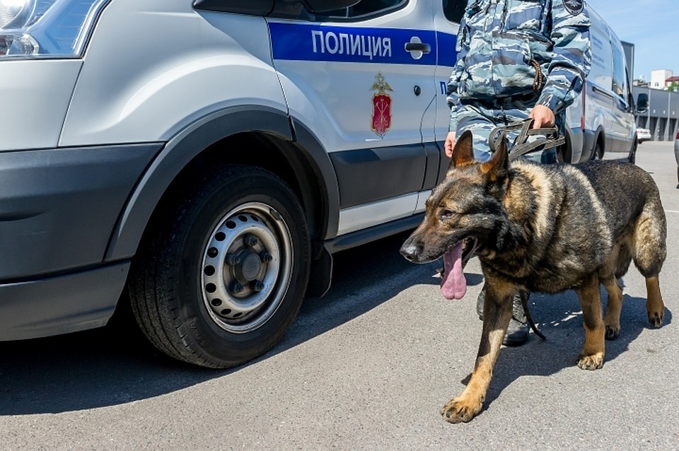 В Петербурге служебная собака спасла девочку от изнасилования