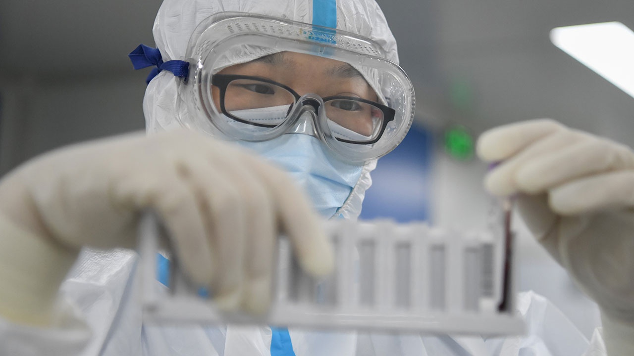 ВОЗ вместе с Китаем оценят риски возникновения пандемии птичьего гриппа H10N3